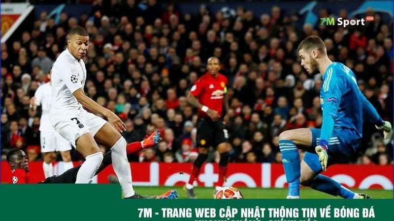 7M - Trang kênh tin tức bóng đá uy tín hàng đầu thị trường hiện nay 7M - Trang kênh tin tức bóng đá uy tín hàng đầu thị trường hiện nay