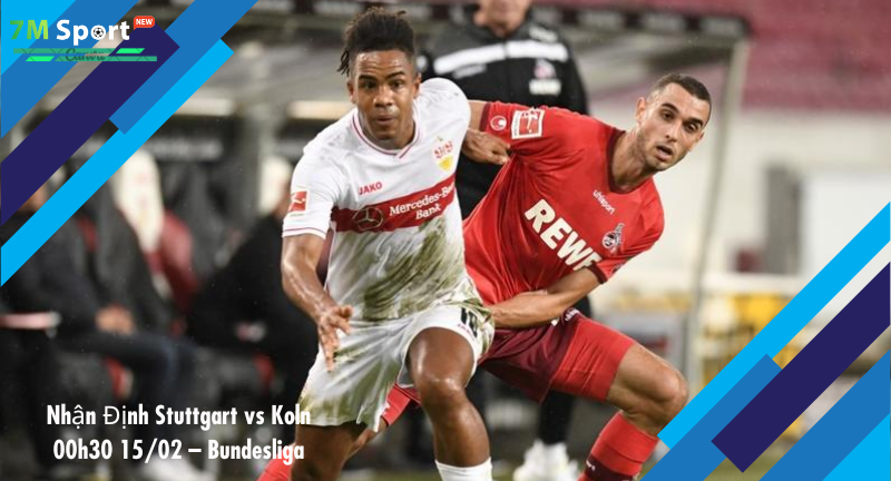 Đội hình dự kiến trước trận Stuttgart vs Koln Đội hình dự kiến trước trận Stuttgart vs Koln