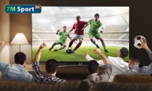 Bet thủ Việt cần có lịch sinh hoạt phù hợp để sẵn sàng chiến đấu cùng những trận cầu đỉnh cao