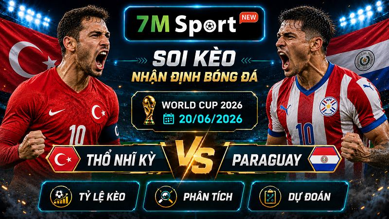 Đội hình dự kiến trước trận Thổ Nhĩ Kỳ vs Paraguay Đội hình dự kiến trước trận Thổ Nhĩ Kỳ vs Paraguay
